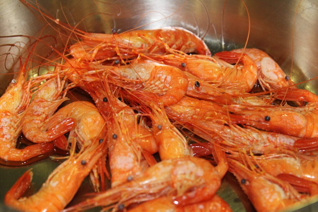 Camarones