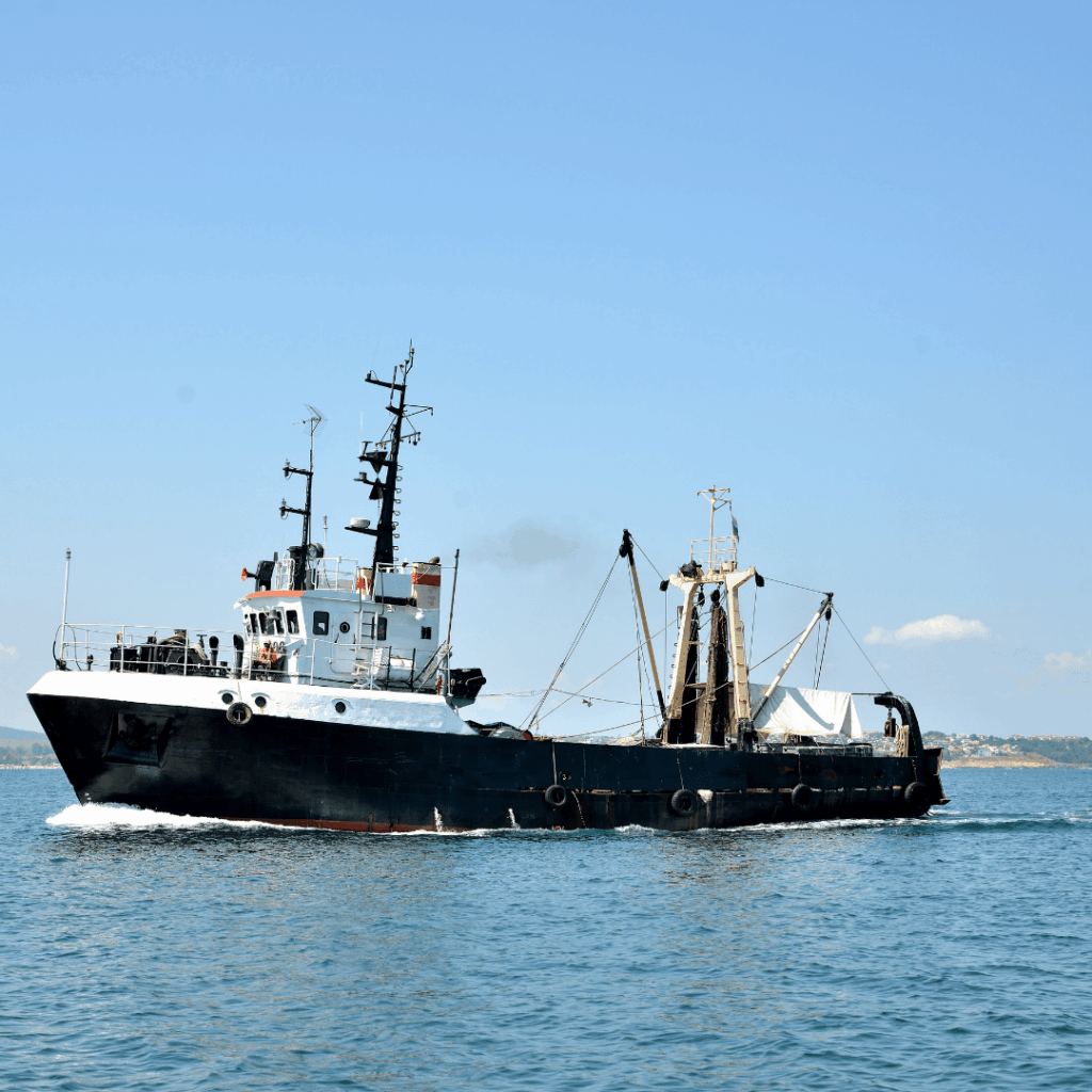 Buques arrastreros con congelado a bordo.