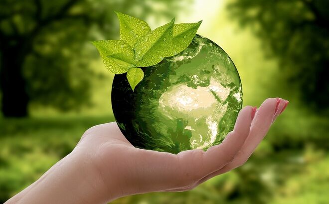 Alimentos Congelados y Medio Ambiente