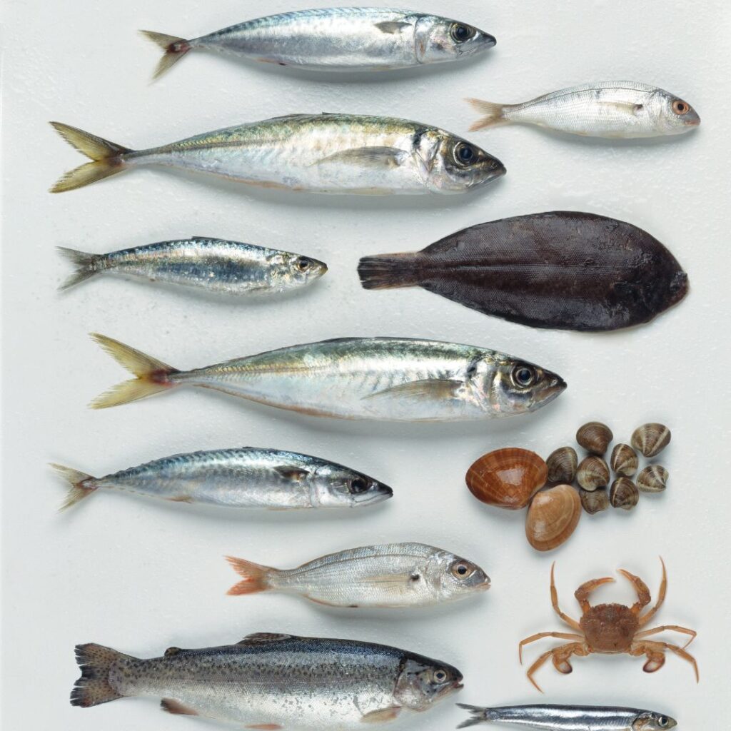 Pescados ricos en potasio