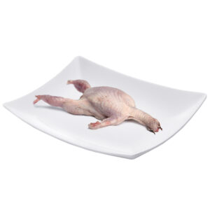 Codornices. bandeja de 4 unidades