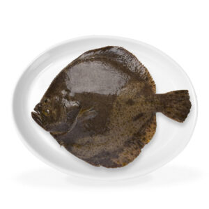 Rodaballo salvaje