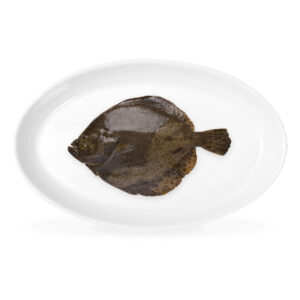 Rodaballo ración