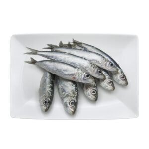 Sardina