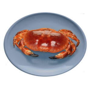 Buey de mar cocido 600-800