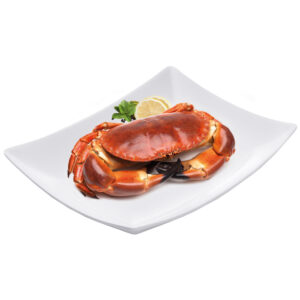 Buey de mar cocido 800-1000