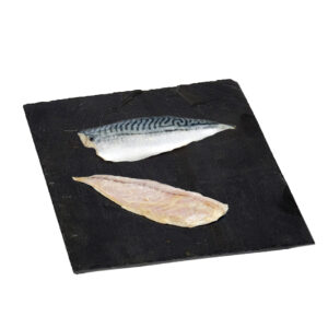 Filete de caballa
