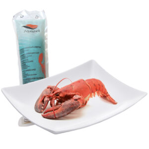 Bogavante cocido en agua salada