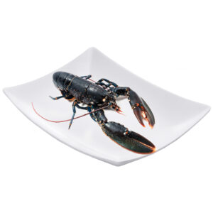 Bogavante crudo