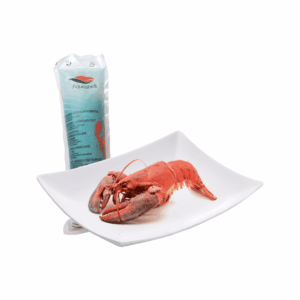 Bogavante cocido agua salada 325 gr/pieza