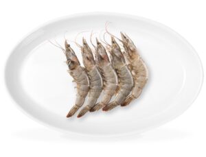 Langostino blanco salvaje
