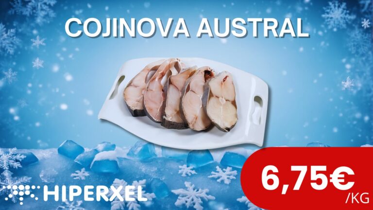 Promocion Cojinova austral
