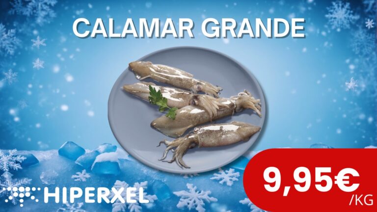 Promocion calamar grande